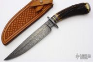 Feather Bird and Trout