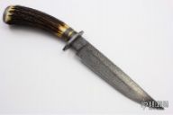 Feather Bird and Trout