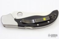 C83BMP Persian by Ed Schempp