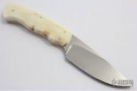 Grazer - Zebra - Warthog Ivory