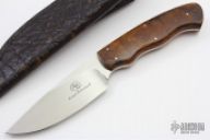 Grazer - Zebra - Desert Ironwood