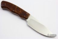 Grazer - Zebra - Desert Ironwood