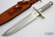 Survival Bowie