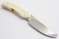 Scavenger - Wild Dog - Warthog Ivory