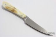 Bush Baby - Porcupine - Warhog Ivory