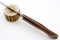 Vintage Small Hunter