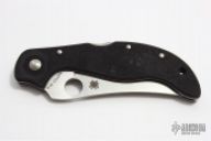 Persian by Ed Schempp