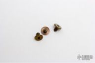 XM-18 3" Bronze Titanium Scale Screws