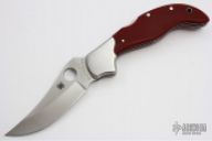 Persian by Ed Schempp