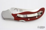 Persian by Ed Schempp