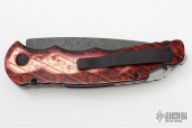 TR-4 Skull-DAM PK Custom Splash #17 of 20