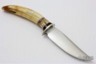 Trout & Bird - Hippo Tooth