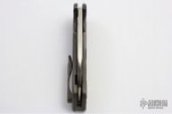 Radeon with Mech Warrior Scales/Clip