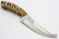 Persian Fighter - Sheep's Horn