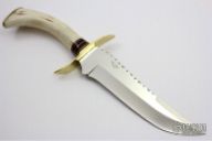 Smooth Stag 5001 Bowie