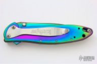 1660VIBST Rainbow Leek