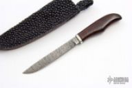 Mini Damascus Fixed Blade