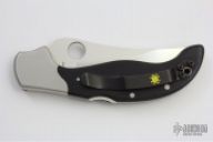 C83BMP Persian by Ed Schempp