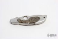 Kiwi w/ Dinosaur Bone Inlays