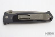 Vallotton Chameleon D/A 4/96 #455