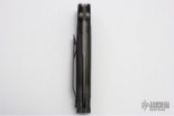 Vallotton Chameleon D/A 4/96 #455