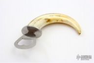 Warthog Tusk Bottle Opener