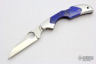 Kiwi w/ Lapis Inlays