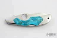 Kiwi w/ Stone Inlays
