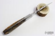 Box Elder Burl Hunter