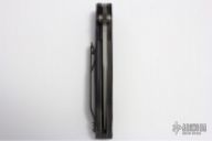 Vallotton Chameleon D/A 4/96 #200