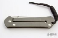 Large P Sebenza  1993