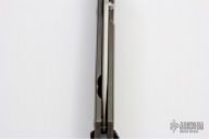 Large P Sebenza  1993