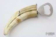 Warthog Tusk Bottle Opener