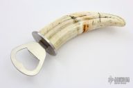 Warthog Tusk Bottle Opener