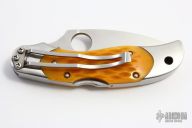 C92SQP - Kopa Squash Bone