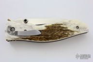 Bull Whip w/ Elk Horn