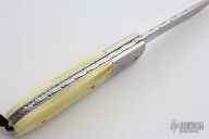 Ivory Scale Release Auto