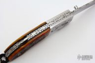 Assisted Opening Lockback