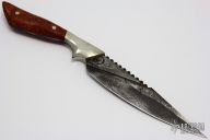 Damascus and Burl Wood Fighter