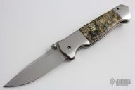 Eclipse - Mammoth Tooth