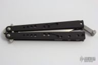 Dragonfly #021  10/2002