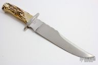 Stag Bowie