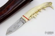 Coyote Jaw Bone and Damascus