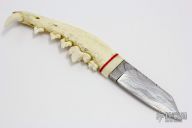 Coyote Jaw Bone and Damascus