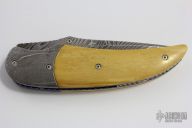 Assisted Opening Linerlock