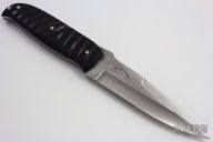 Impala and Damascus Cave Bear II