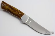 Upswept Hunter #2318