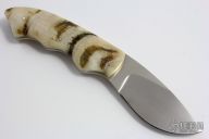 Raven with Sheep Horn Scales