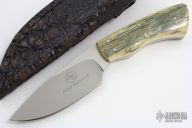 Gecko with Mammoth Ivory Scales