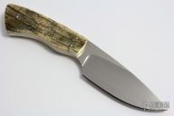 Gecko with Mammoth Ivory Scales